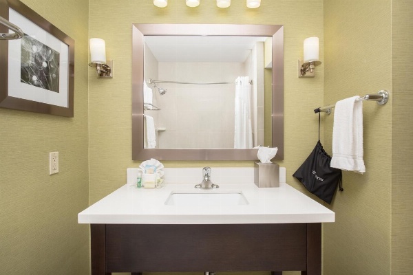 Holiday Inn Little Rock-Airport-Conference Center image 3
